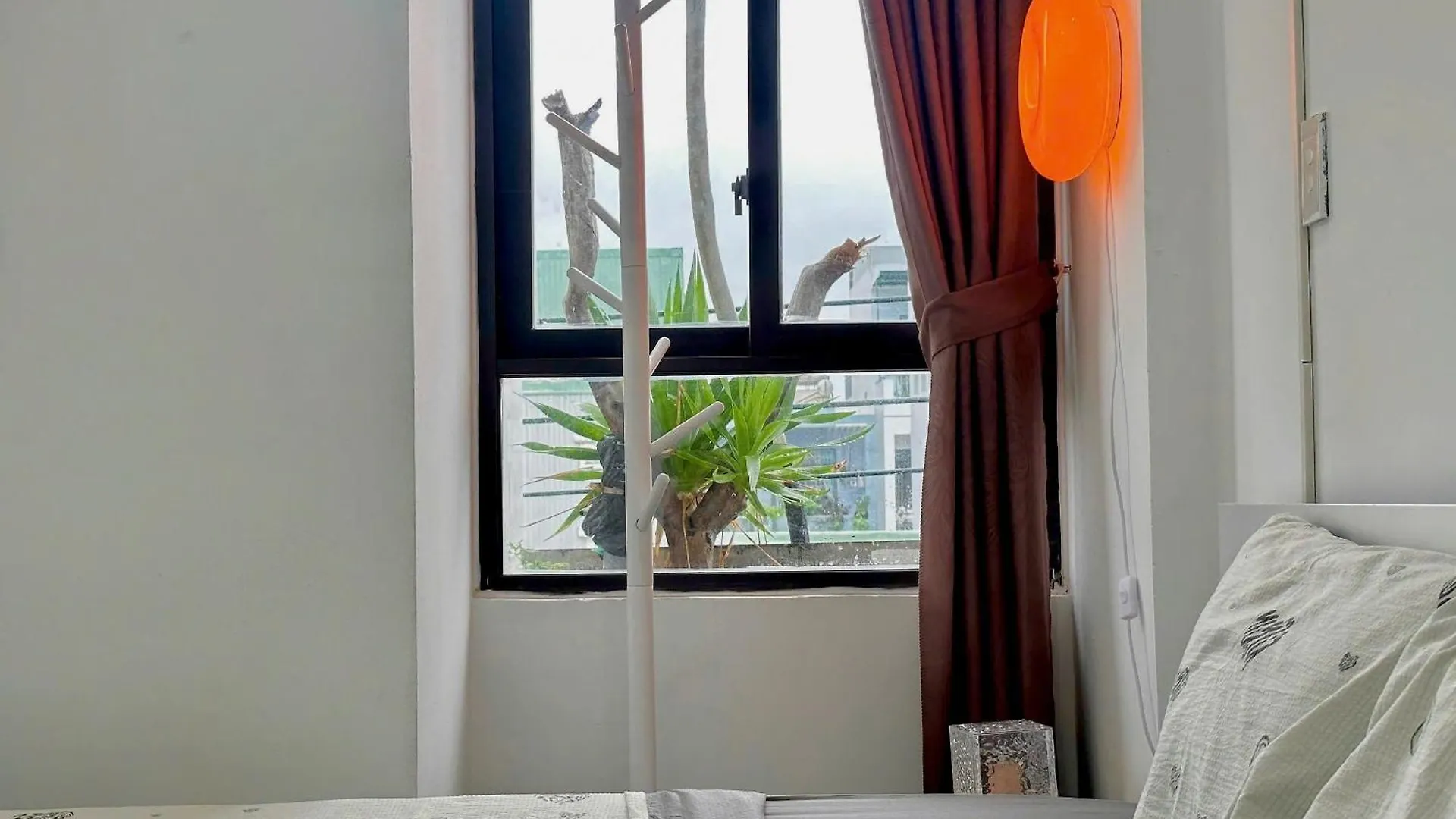 Homestay Corgi House Beachstay Danang